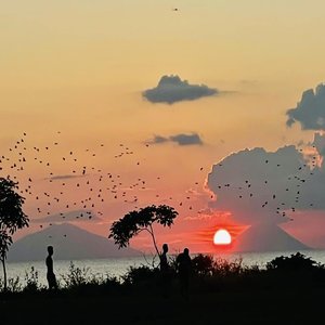 Coloridos atardeceres