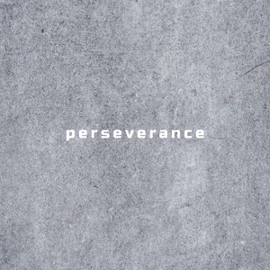 perseverance