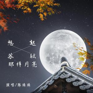 想起苏轼那样月亮