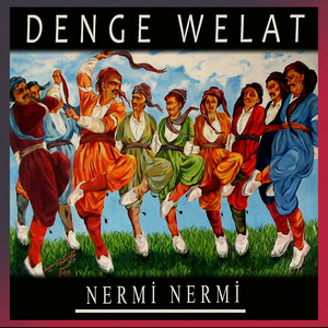 Nermi Nermi