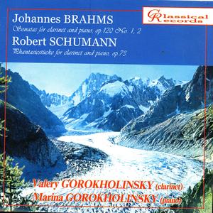 Sonata for clarinet and piano in F minor, op.120  no.14 mvt