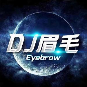 眉毛-你好老板 伴奏（眉毛 remix）