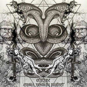 a Perfect Circle (154)