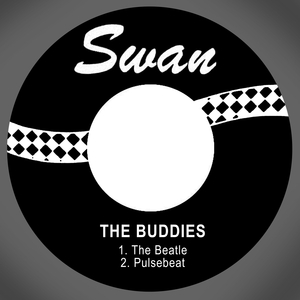 Pulsebeat