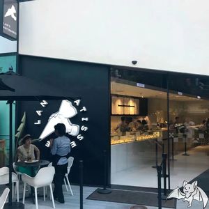 温热蝙蝠日记Acoustic