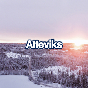 Ett Rike Av Skog