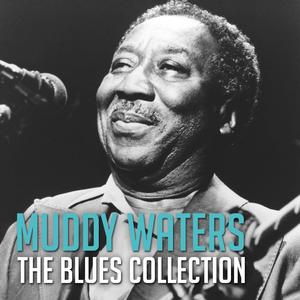 I Just Want to Make Love to You