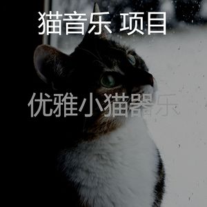 柔和的小猫时刻