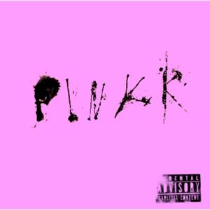 P!nkK (feat. PgmZar)