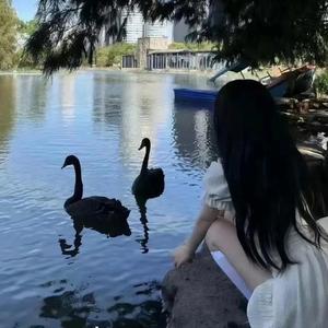 我讨厌坏天气（乌云乌云快走开）