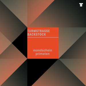 Mondschein Primaten (Pawas Remix)