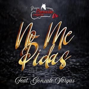 No Me Pidas (feat. Gonzalo Vargas)