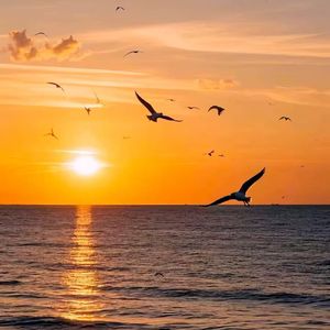 盛夏 落日 海