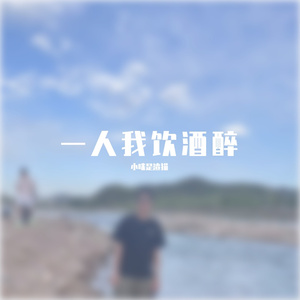 一人我饮酒醉