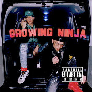 Growing Ninja (feat. N.仏陀.a.k.a油屋)