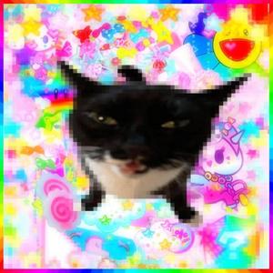 Meow!