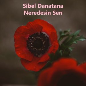 Neredesin Sen