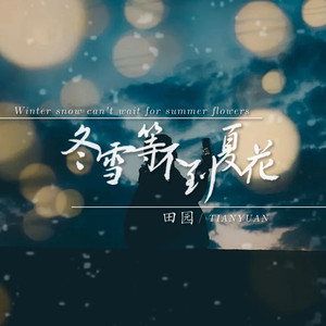 冬雪等不到夏花