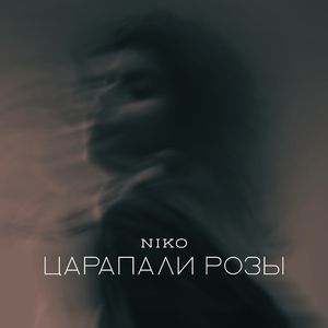 Царапали розы