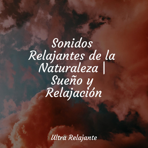 Maravillas De Tiempos De Paz