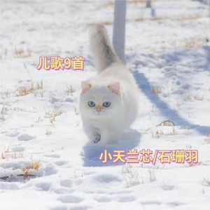 枫桥夜泊 (伴奏)