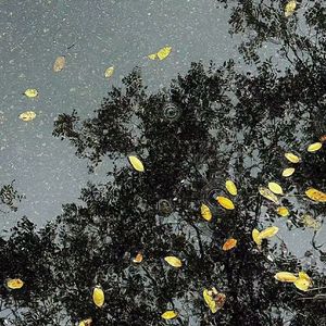 冷风(Prod.by Morrow)