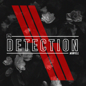 Detection (Original Mix)