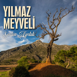 Senden Ayrılalı