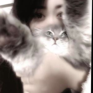 你是我未完成的遗憾