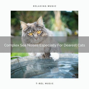 All Wind Sounds For Our Cats