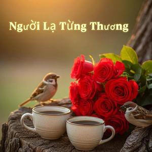 Người Lạ Từng Thương