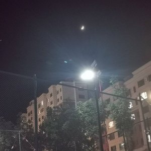 蝴蝶，凉夏，梦与乌托邦