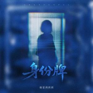 身份牌 (DJ版)1.2x降调版