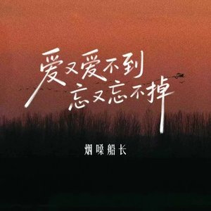 爱又爱不到 忘又忘不掉（翻自 张艺迈）