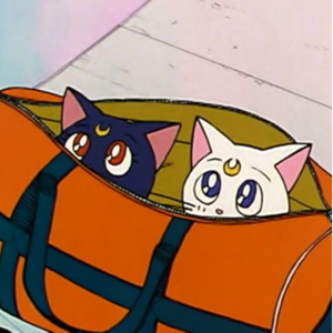 fly me to the moon (cover)