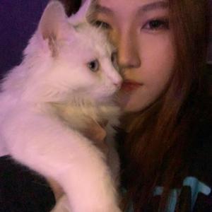 坏男孩让我心碎