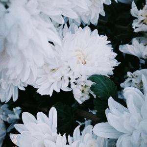 我在风里，等待消逝