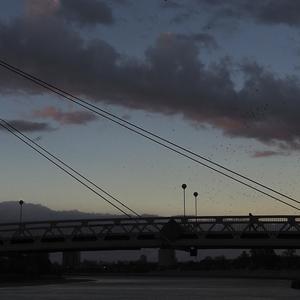 Близится ночь