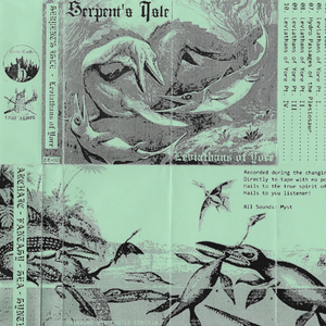 Ancient Shores in the Distance