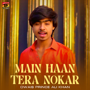 Main Haan Tera Nokar