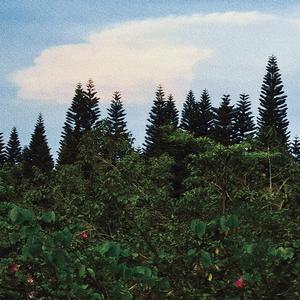 [Free Beat] ''Past''