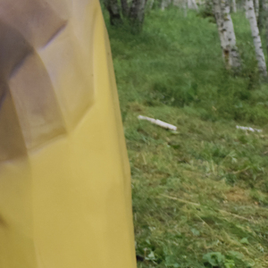 年已经过完了钱也花完了