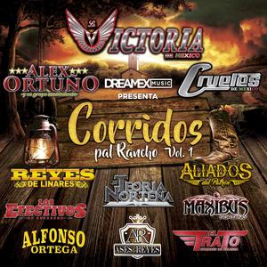 Nervios de Acero (El Pitus)