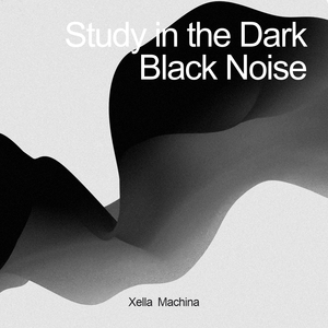 Study in the Dark Black Noise