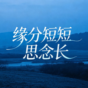 缘分短短思念长 (DJ版)