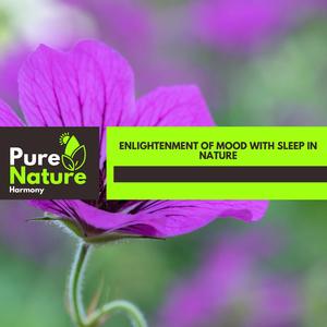 Phony Beach Ripple Orchestral Bass