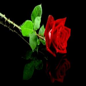 Affection (feat. Lou-Is) (Remix) (Remix)