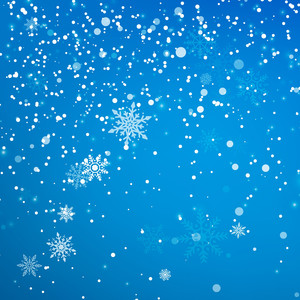 スノウフレーク