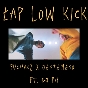 Łap low kick