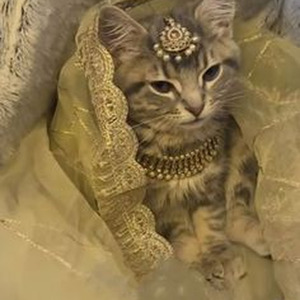 靴の花火 (sped up)